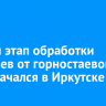 Второй этап обработки деревьев от горностаевой моли начался в Иркутске