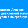 В Казачинско-Ленском районе двухлетний мальчик погиб, упав в выгребную яму