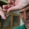 «Сибирскому серпентарию» отказали в сертификации: как живёт российский рынок натуральных ядов