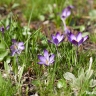Как отдохнуть белгородцам 11–13 апреля
