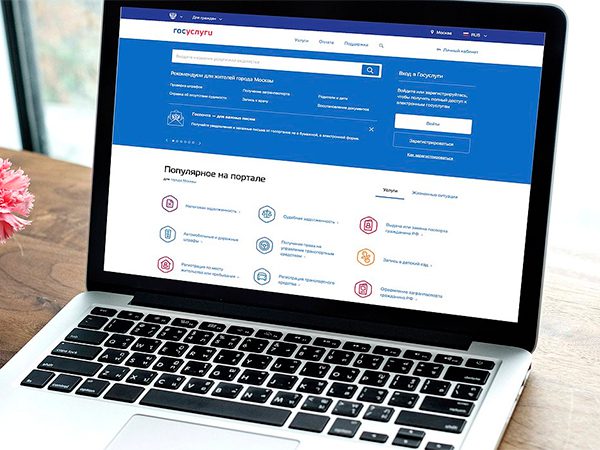 Дума приняла закон о об оформлении гражданства ребёнка через ЕПГУ