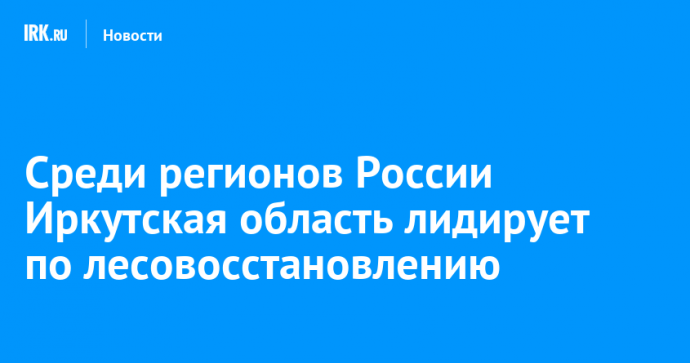 Среди регионов России Иркутская область лидирует по лесовосстановлению