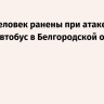 Шесть человек ранены при атаке дрона ВСУ на автобус в Белгородской области