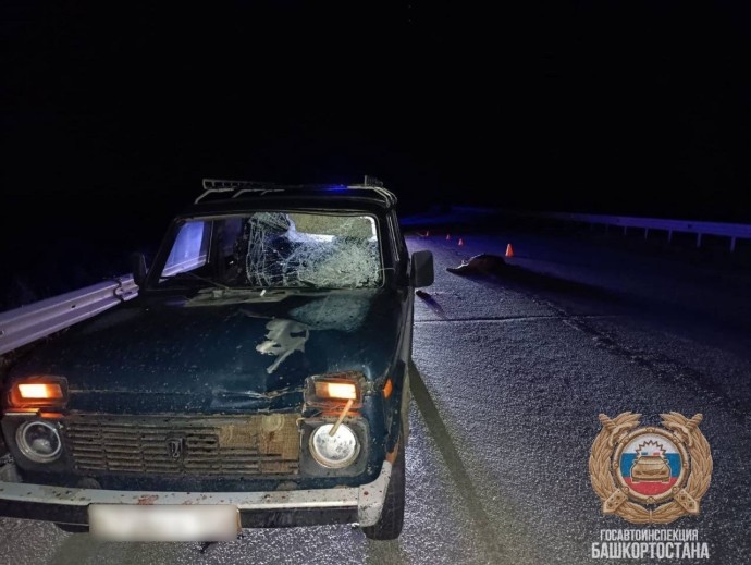 В Башкирии пешеход погиб под колёсами «Нивы» В Башкирии пешеход погиб под колёсами «Нивы»