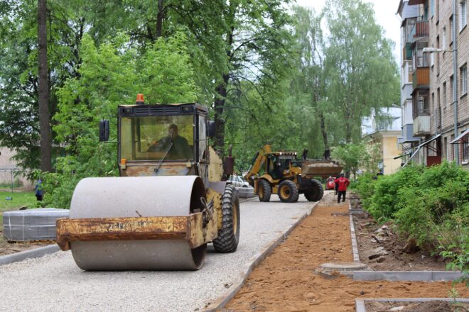 Крысы покинули костромской двор после мольбы уставших жильцов