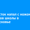 Подросток напал с ножом на учеников школы в Подмосковье