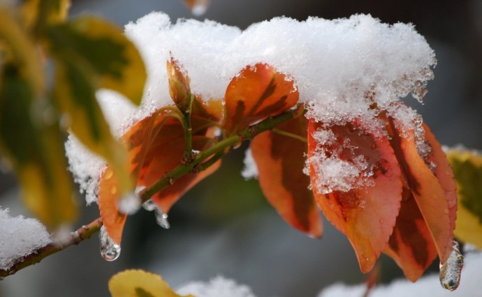 Немного дождя и снега прогнозируют в Сахалинской области 9 ноября Немного дождя и снега прогнозируют в Сахалинской области 9 ноября