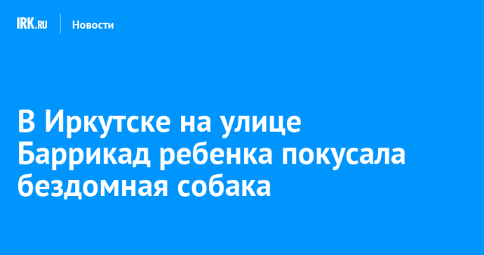 В Иркутске на улице Баррикад ребенка покусала бездомная собака