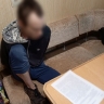 Комментарии довели до уголовного дела: кировчанина задержали за реабилитацию нацизма...