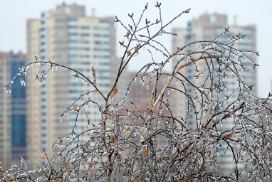 Позднякова сообщила о гололедице в Москве на следующей неделе