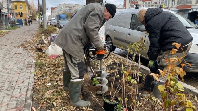 Депутаты обсудили массовые посадки