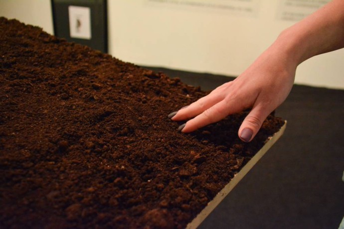 На торгах продадут участок под логистический хаб в пригороде Перми