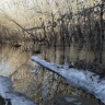 На двух реках в Башкирии поднялся уровень воды