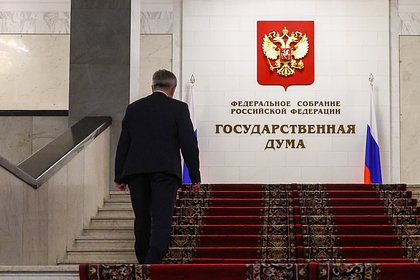 В Госдуме прокомментировали включение 14-летней девочки в базу «Миротворец»