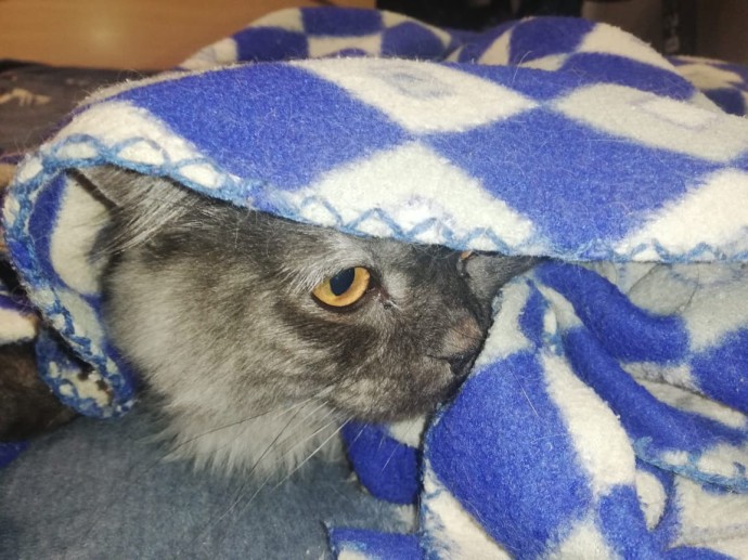 Похолодание наступает: что метеорологи обещают астраханцам 16 октября