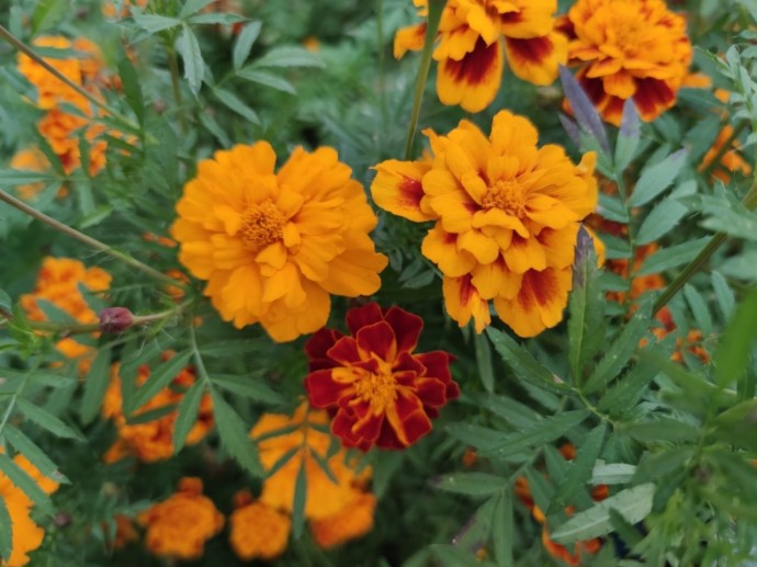 Погода готовит сюрприз жителям Башкирии Погода готовит сюрприз жителям Башкирии