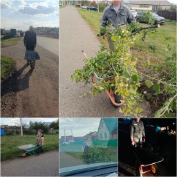 Глава района Башкирии напомнил о правилах утилизации растительного мусора