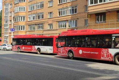 В Перми ищут перевозчика на маршрут с автобусами большого класса