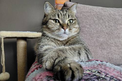 Стрельцы рискуют зайти слишком далеко, Водолеям не стоит раскачивать лодку