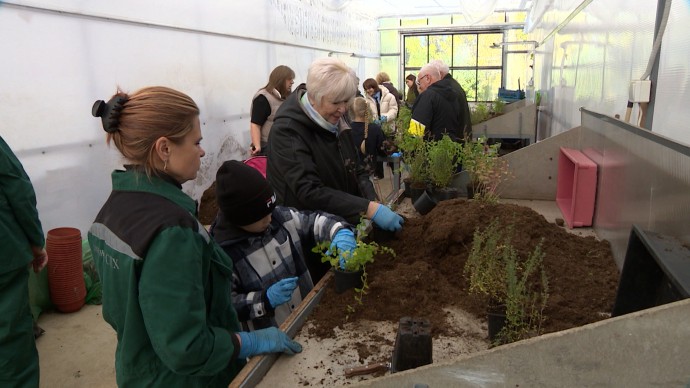 Флористика, садоводство и интересный досуг: как в Петербурге реализуется проект «Цветочный класс»