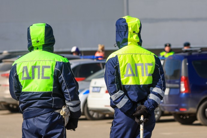 Юрист Зокиров заявил о штрафе в 5 тысяч рублей за листья на номерах авто