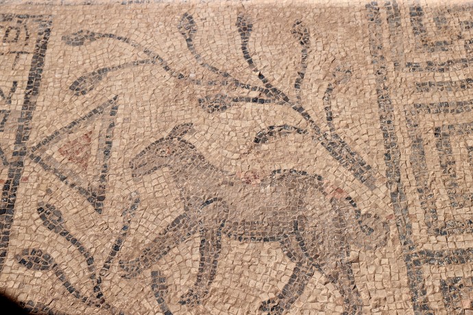 На юго-востоке Турции нашли «христианскую» мозаику с животными