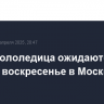 Снег и гололедица ожидаются в ночь на воскресенье в Москве