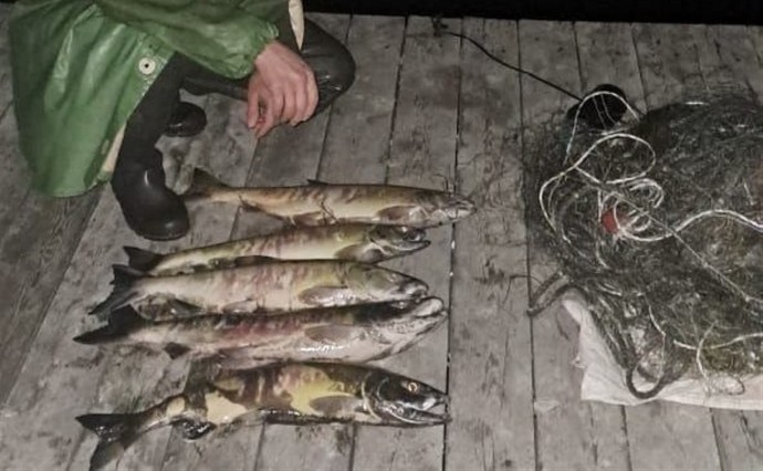 177 кг рыбы и 5,4 кг икры изъяли у сахалинских браконьеров за неделю
