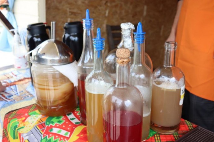 Чайный гриб оказался суперфудом для россиян с ожирением Чайный гриб оказался суперфудом для россиян с ожирением