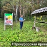 Прокуратура выявила нарушения на территории ГУ ТО «Плавское лесничество»