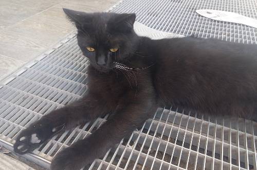 Овны наделают кучу ошибок, для Стрельцов день будет одним из самых удачных за последнее время Овны наделают кучу ошибок, для Стрельцов день будет одним из самых удачных за последнее время