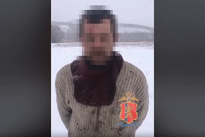 Россиянин сжег 166 кедров и объяснил свой поступок