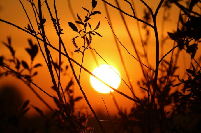 На Солнце зафиксировали мощнейшую за три месяца вспышку На Солнце зафиксировали мощнейшую за три месяца вспышку
