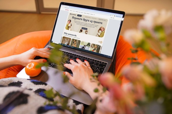 Новый сервис «Моспитомец» на mos.ru поможет выбрать любимца из приюта