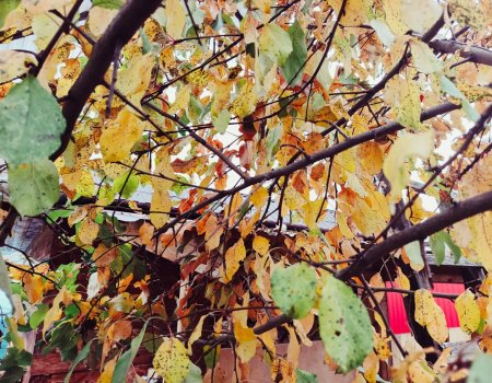 В Башкирии держится тёплая погода