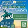 В Уфе пройдет первый республиканский чемпионат по нардам