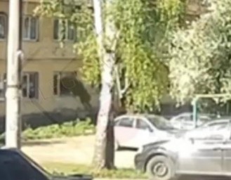 В Башкирии лось «протаранил» окно жилого дома