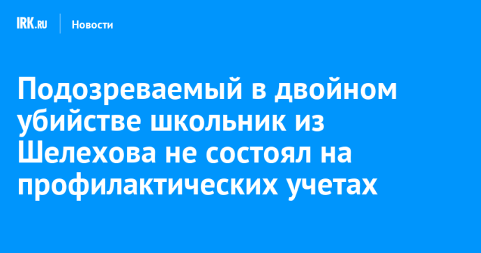 Подозреваемый в двойном убийстве школьник из Шелехова не состоял на профилактических учетах