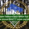 В санаториях Башкирии с начала года получили лечение более 1,2 тысячи участников СВО   