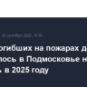Число погибших на пожарах детей сократилось в Подмосковье на четверть в 2025 году