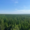 Шесть лесных пожаров потушили в Якутии за сутки