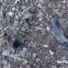 При ударах беспилотников в Белгородской области пострадали 3 человека