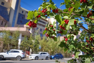 Солнечно и до +29 градусов: прогноз погоды в Якутии на 21 августа