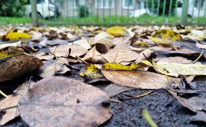 Возможен мокрый снег: погода на Сахалине и Курилах на предстоящую неделю