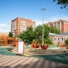Территорию для благоустройства выбрали уже 29 тысяч благовещенцев