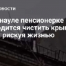 В Барнауле пенсионерке приходится чистить крышу дома, рискуя жизнью