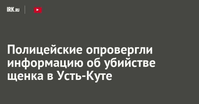 Полицейские опровергли информацию об убийстве щенка в Усть-Куте