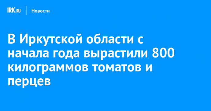 В Иркутской области c начала года вырастили 800 килограммов томатов и перцев