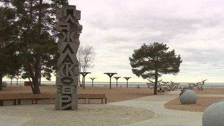 В Курортном районе 3 августа пройдет самое необычное мероприятие Петербурга — «Книжный Пляж»