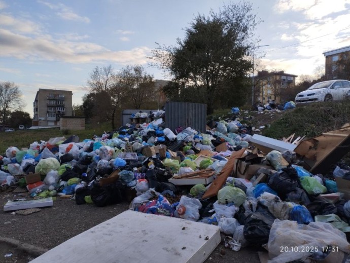 Жители Фокино бьют тревогу: город превращается в свалку